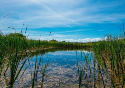 Thorhild Wetland Restoration