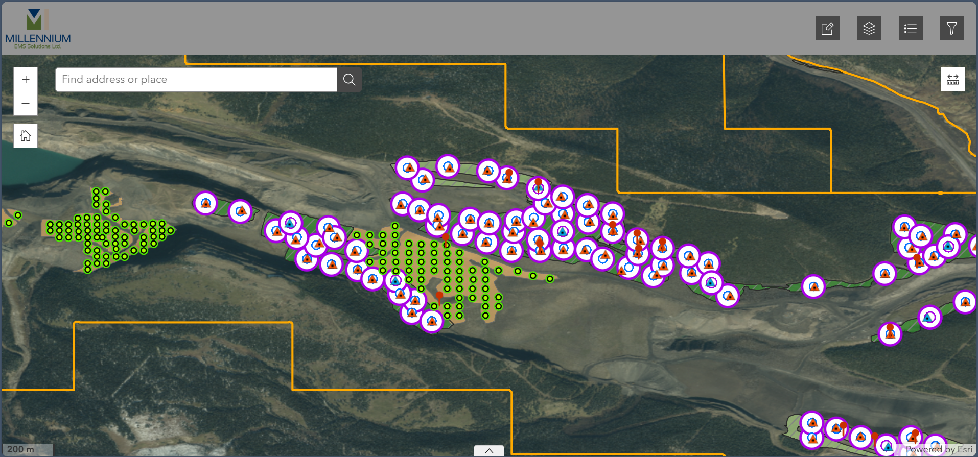 EVR_Cardinal-River-Mine-Vegetation-and-Soil-Survey