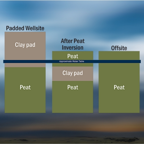 Clay-Peat Inversion