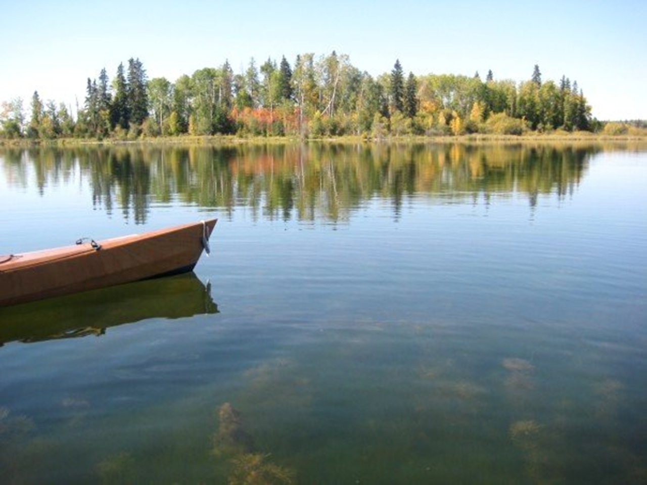 Water Aquatic Resource Management