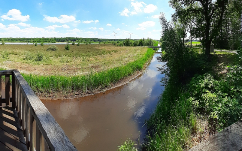 Effective Monitoring for Environmental Integrity