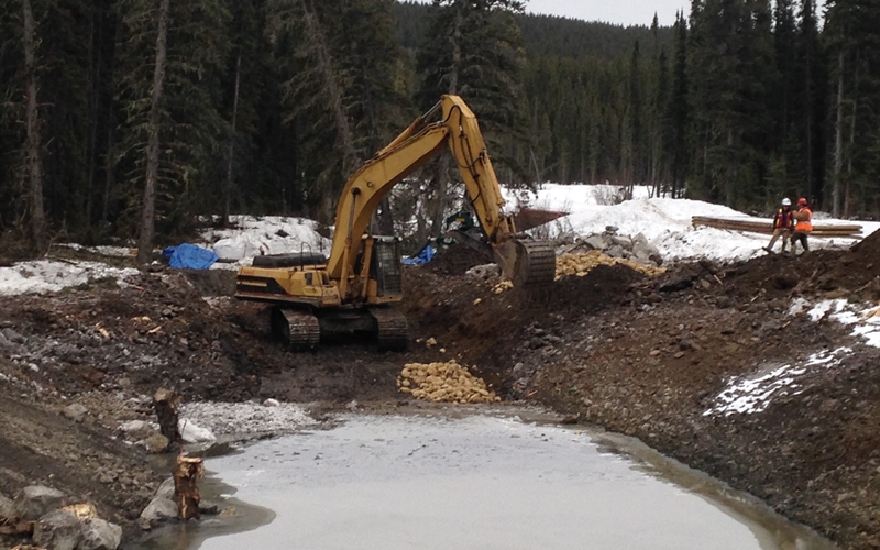 Managing Environmental Requirements from Start to Finish